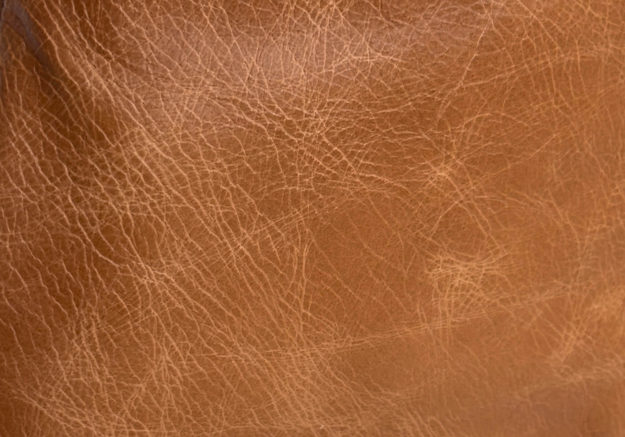 distressed leather new product care page