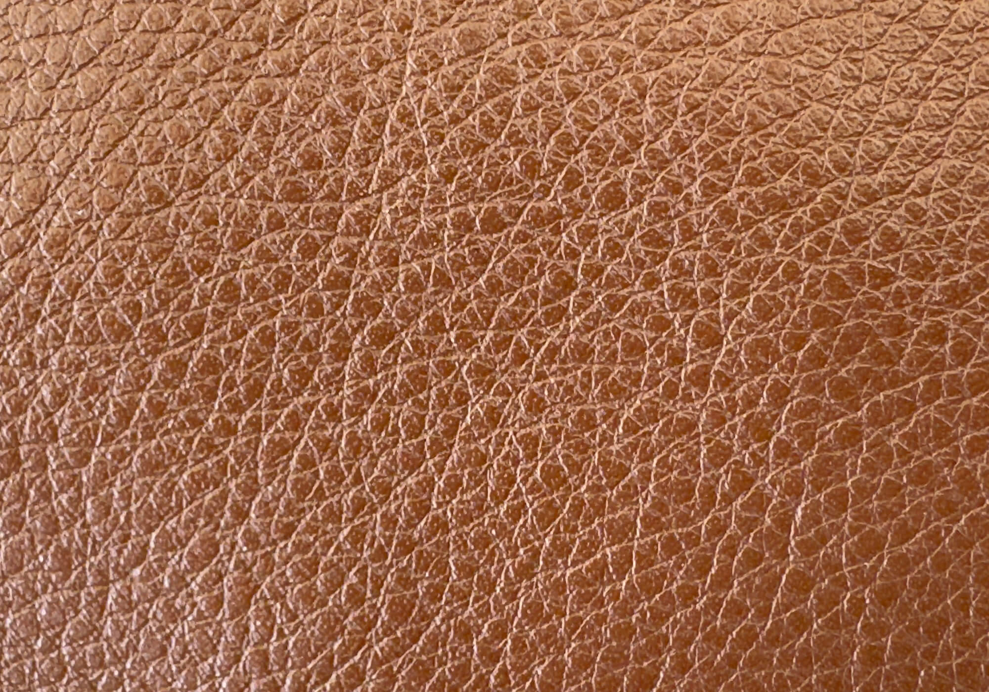 natural grain leather new product care page