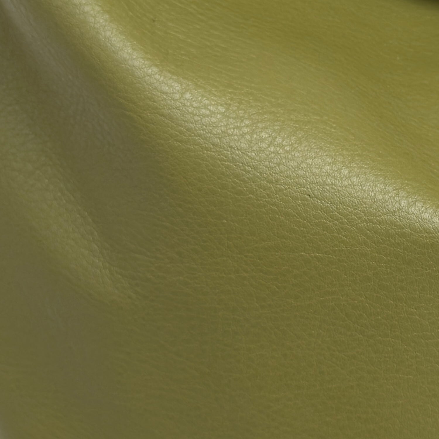 Close-up of green leather texture